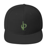 Phoenix Cactus Snapback Hat