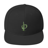 Phoenix Cactus Snapback Hat