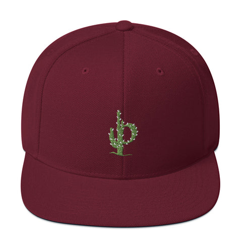 Phoenix Cactus Snapback Hat